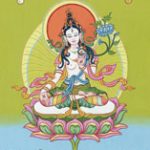 shop-white-tara-print