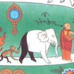 Shamatha-Closeup-1