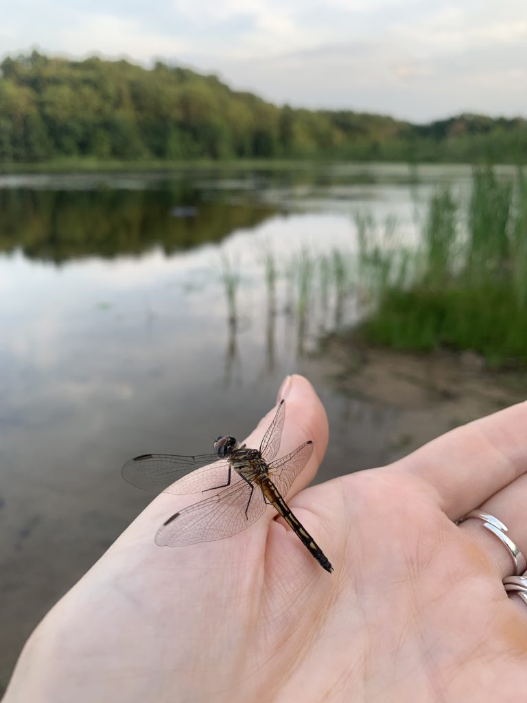 Creating Tibetan Buddhist Art - Thangka Drawing & Painting Retreat at Omega Institute for Holistic Studies in Rhinebeck, NY, USA, 2025, by Carmen Mensink
