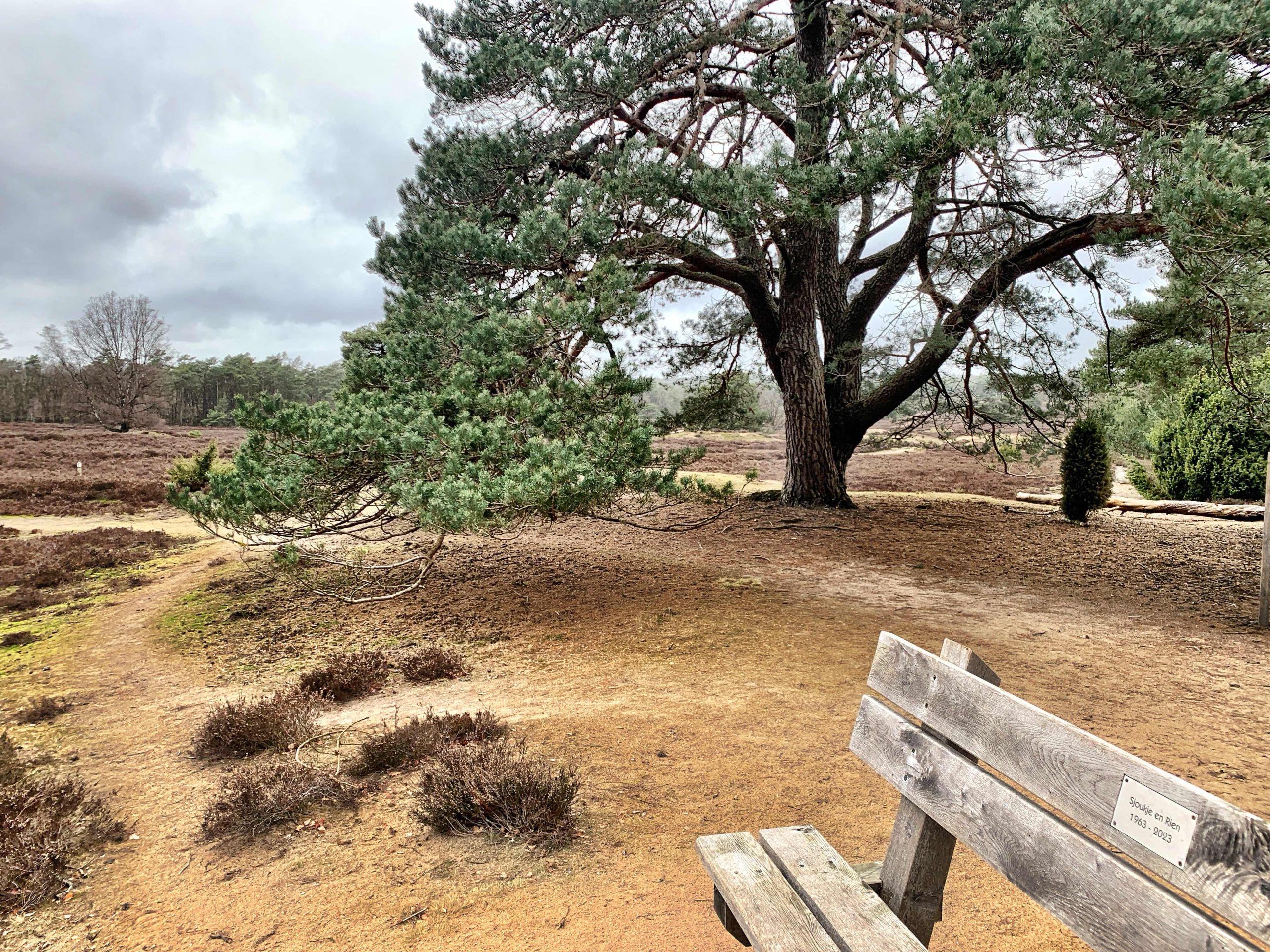Green-Tara-Thangka-Drawing-and-Painting-Retreat-Maitreya-Instituut-Loenen-Netherlands-with-Carmen-Mensink_59
